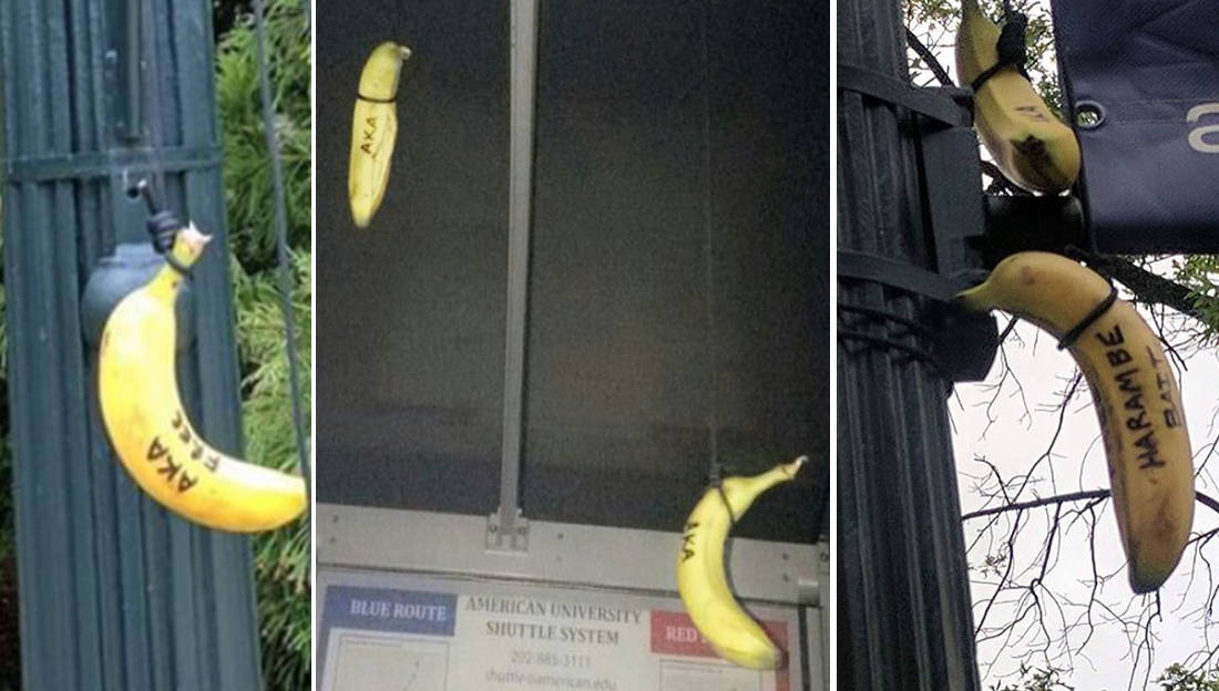 racist-american-university-alpha-kappa-alpha-bananas