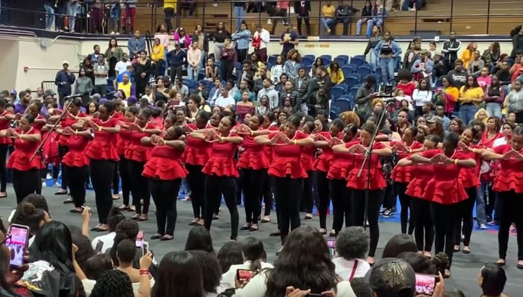 Watch How the Women of Delta Sigma Theta Revealed Their Spring 19 Line